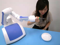 自立支援型生活支援ロボット（食事など）
